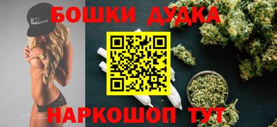 прущие крисы Гай
