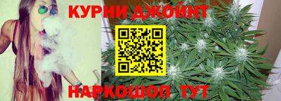 прущие крисы Гай