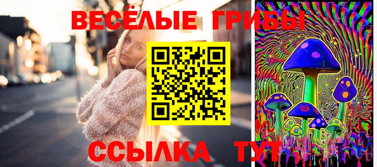 Волхов  Галлюциногенные грибы прущие грибы  Вход с VPN 