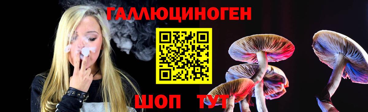 Псилоцибиновые грибы MAGIC MUSHROOMS Волхов